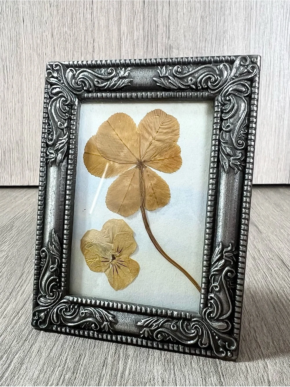small ornate silver-finish picture frame displaying a real pressed 4 leaf clover